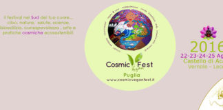 cosmic vegan fest