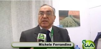 michele ferrandino (presidente cia capitanata)