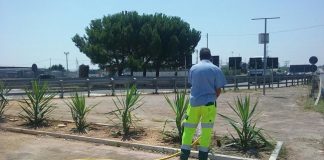 pulizia aree pubbliche barletta