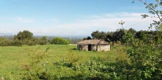 parco archeologico ostuni