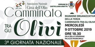 banner incontro organizzativo cammintata tra gli olivi