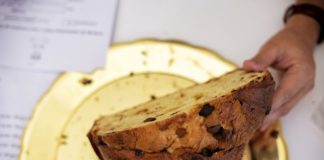 degustazione panettone