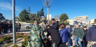 piantumazione dell'albero nella rotatoria di via vaccarella