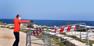 individuati e recintati sei insediamenti di fratino sul lungomare di san giorgio